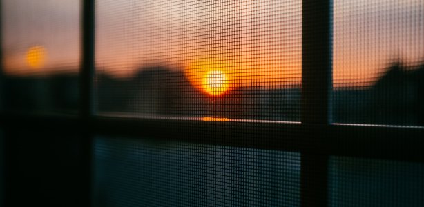 Waar komt de hor eigenlijk vandaan? Foto: Unsplash
