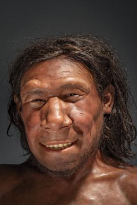 Neanderthaler Krijn