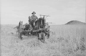 Nieuw-Zeelandse boeren op een tractor, 1944. 