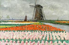 Holland Mania George Hitchcock roze tulpen molen 