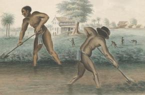 slavenregister curaçao