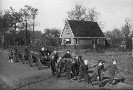 Kinderen verzamelen hout voor een paasvuur (1950). Fotocollectie Anefo via www.nationaalarchief.nl geschiedenis van het paasvuur