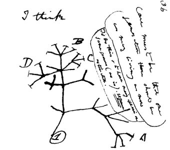 Tree of life Charles Darwin